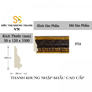 Phào Khung Tranh Mã 3721-0